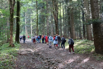 XIVMAŁOPOLSKI PLENER FORM TWÓRCZYCH OSÓB NIEPEŁNOSPRAWNYCH "MAGIA GÓR - BESKIDY 2024" 61